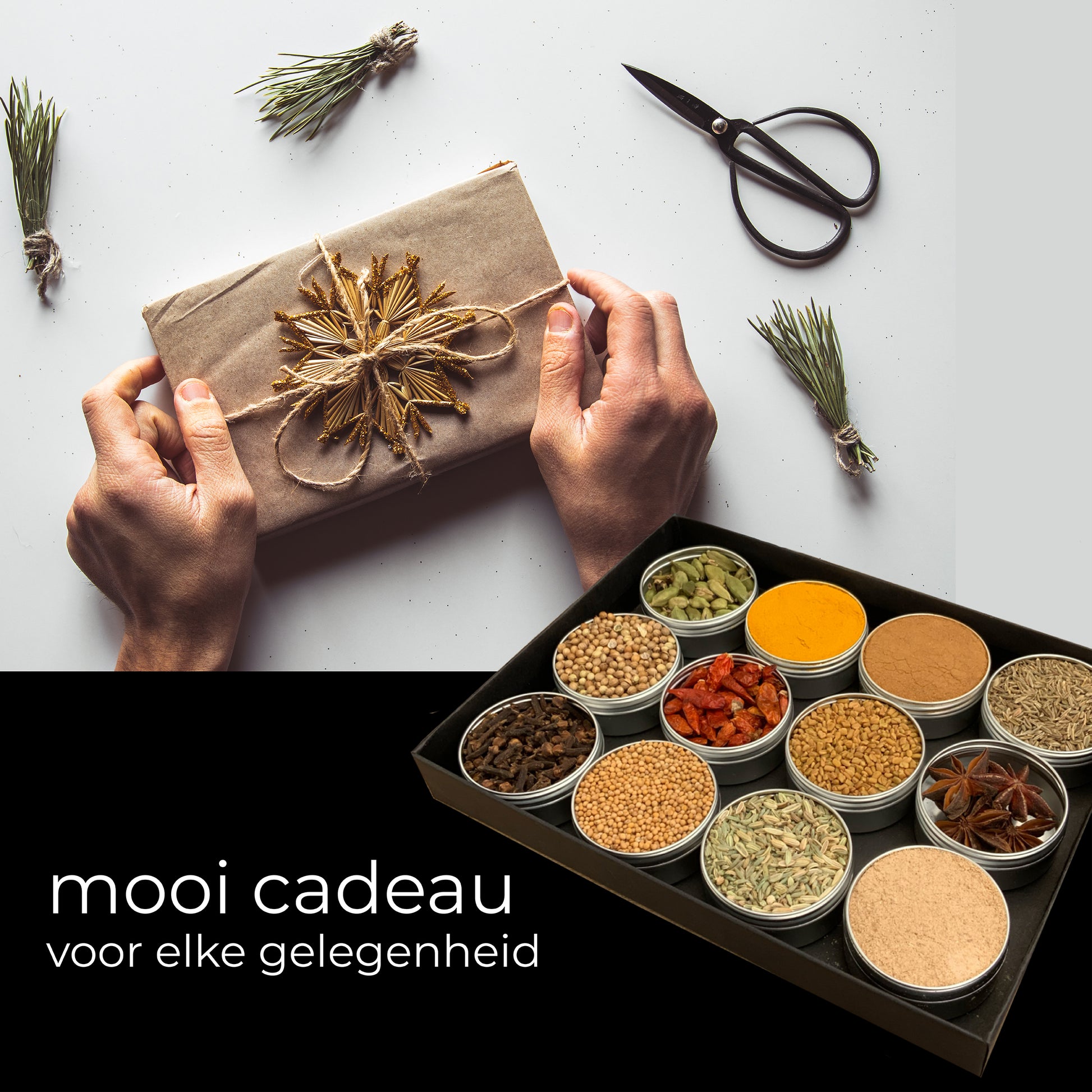 curry kruiden voor het maken van heerlijke curry recepten. 3 curry recepten en 12 blikjes currykruiden